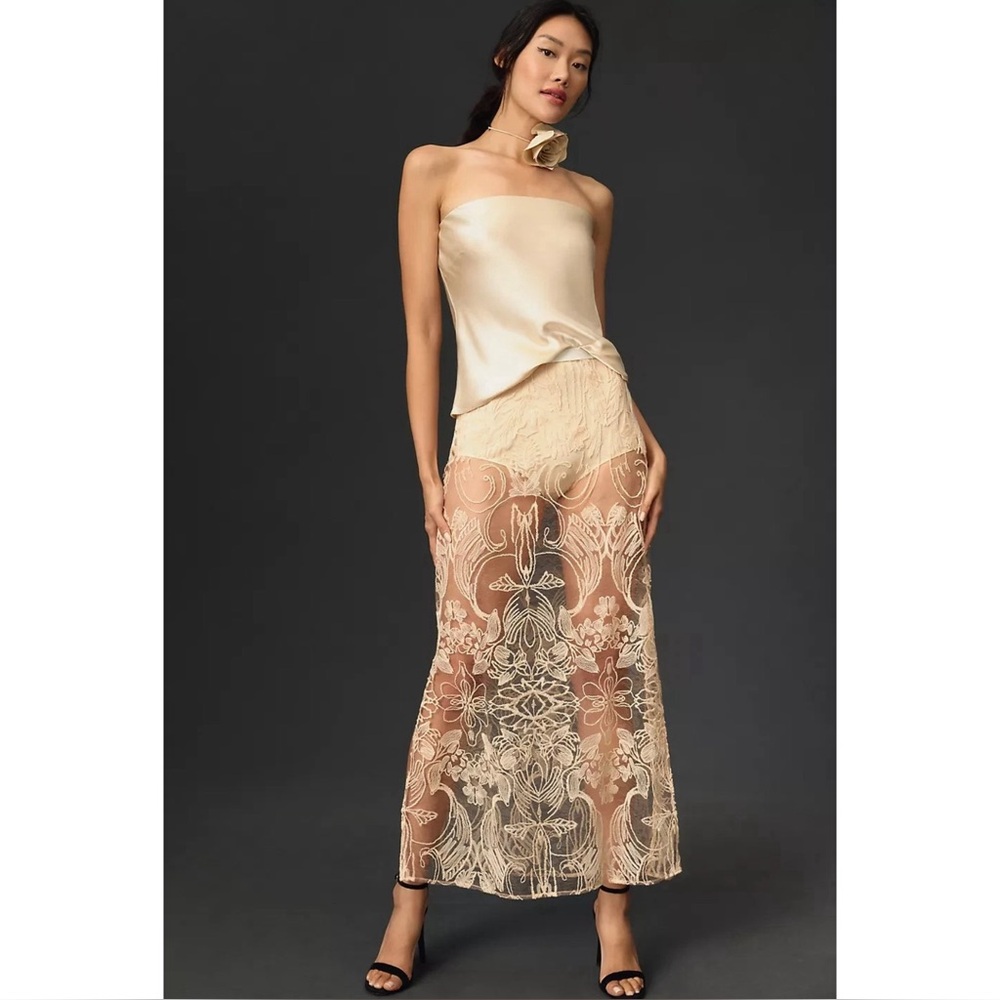 Anthropologie Sheer Lace Embroidered Midi Dress